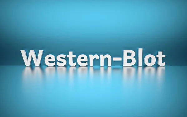 Word Western Blot — Stock fotografie