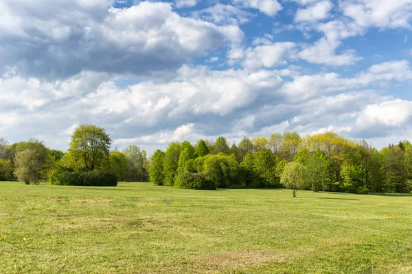 Idyllische weide zomerdag — Stockfoto