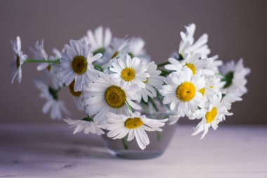 Ahşap masada cam vazo papatyalar
