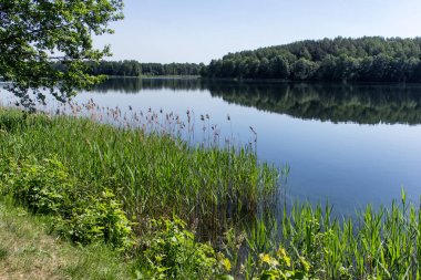Pastoral gölet göl rekreasyon manzara