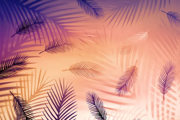 Hot tropical illustration with feathers