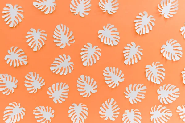 熱帯植物モンスターの葉とオレンジ色の白いパターン — ストック写真