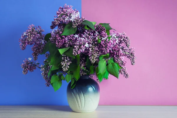 Ramo de flores de color rosa lila en un jarrón sobre fondo rosa y azul —  Fotos de Stock