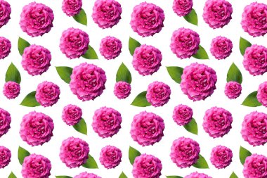 Pembe güller ile romantik hediye tebrik kartı 