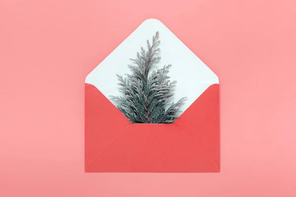 Christmas envelope with evergreen branch