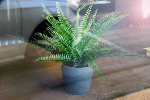 Office plant artificial plastic fern in a pot on wooden table. Street view from window.