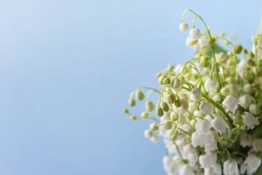 Beyaz orman bitkilerinden oluşan buket yakın plan mavi arka plandaki vadi zambakları. Boş alanı kopyalayan fotoğraf.