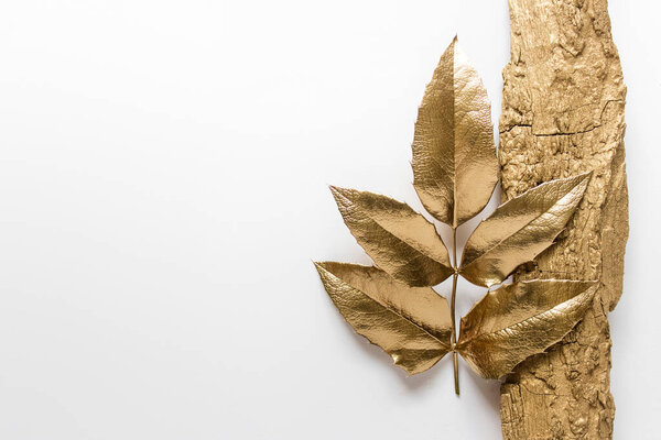 Состав с листьями растений и деревянным миром, окрашенный в золотистый металлический цвет. Фото с пустым местом для копирования.