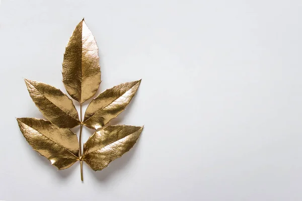 Beyaz zemin üzerinde altın metalik yaprak yakın çekim. Boş alanı kopyalayan fotoğraf.