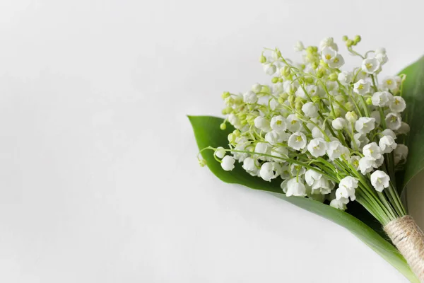 Yeşil Yapraklarla Kaplanmış Beyaz Orman Çiçekleri Vadi Zambakları Beyaz Arka — Stok fotoğraf