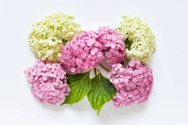 Buquê Feito Flores Hortênsia Rosa Branca Fofas Cabeças Dispostas Sobre — Fotografia de Stock