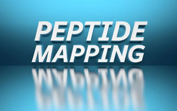 Vědecký Termín Peptidové Mapování Napsáno Bíle Tučnými Velkými Slovy Modrém — Stock fotografie