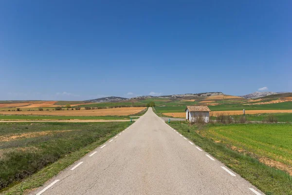 カスティーリャイレオン スペインの風景の中の直線道路 — ストック写真