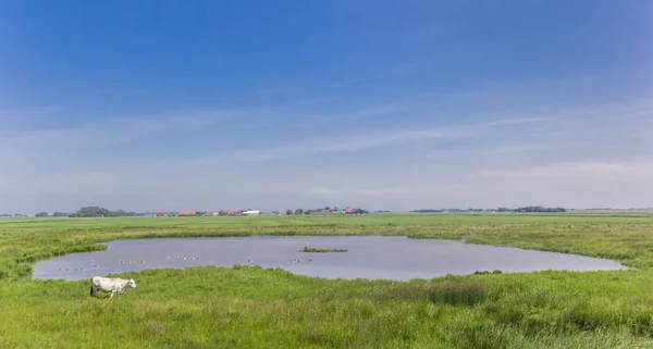 Невелике Озеро Ландшафті Острові Texel Голландія — стокове фото