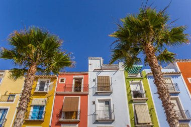 Colorful houses and palm trees in Villajoyosa, Spain clipart