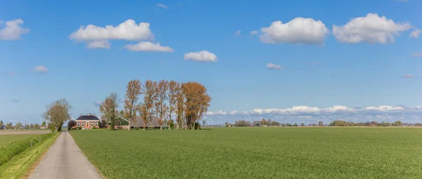 Narrow Road Leading Farm Dutch Landscape Groningen — Stock Photo, Image