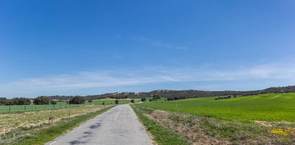 Narrow Road Landscape Castilla Leon Segovia Spain — Stock Photo, Image