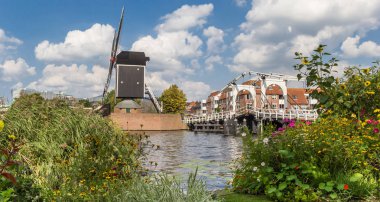 Panorama of flowers in front of a windmill in Leiden, Netherlands clipart