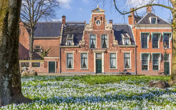 Fleurs Printanières Devant Vieux Bâtiment Groningue Pays Bas — Photo