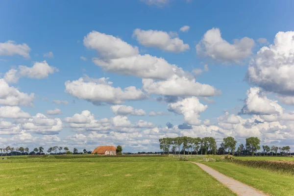Little Farm Dutch Landscape Groningen Netherlands — Stock Photo, Image
