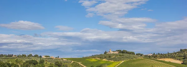 Panorama Uma Paisagem Típica Toscana Itália — Fotografia de Stock