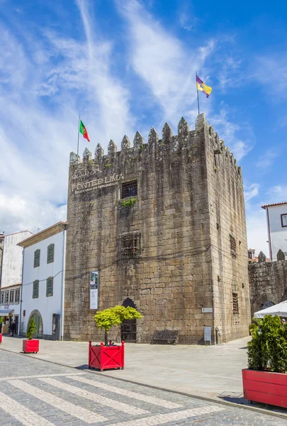 Castello Sul Viale Ponte Lima Portogallo — Foto Stock