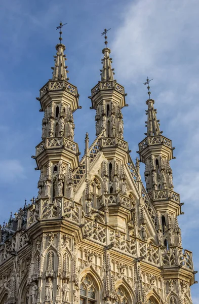 Rathausdach Leuven Belgien — Stockfoto