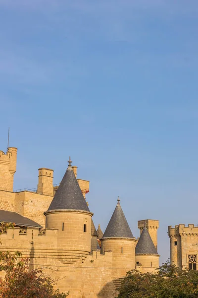 Olite 历史城堡的塔 西班牙 — 图库照片