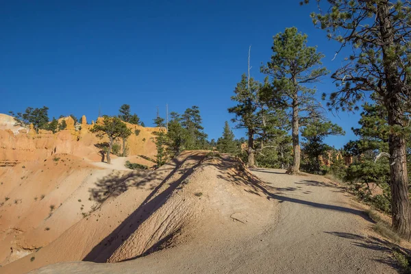 Sentier Jardin Queens Dans Parc National Bryce Canyon Utah États — Photo