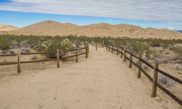 ケルソー砂丘モハーベ国立保持する 米国で ロイヤリティフリーのストック写真