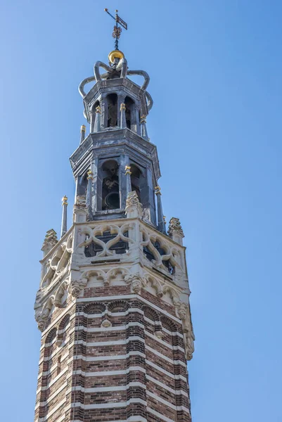 타워는 역사적인 네덜란드의 — 스톡 사진