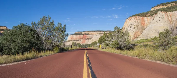 Strada Rossa Attraverso Parco Nazionale Zion Nello Utah America — Foto Stock