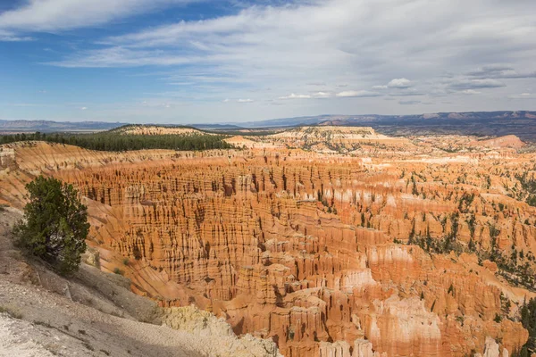 Widok Momentu Inspiracji Stanach Zjednoczonych Stanie Utah Parku Narodowego Bryce — Zdjęcie stockowe