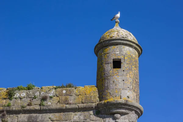 Torre Vigia Fortaleza Viana Castelo Portugal — Fotografia de Stock