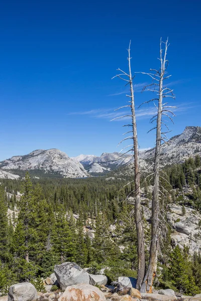 Vista Dal Punto Olmsted Sul Passo Tioga Nel Parco Nazionale — Foto Stock