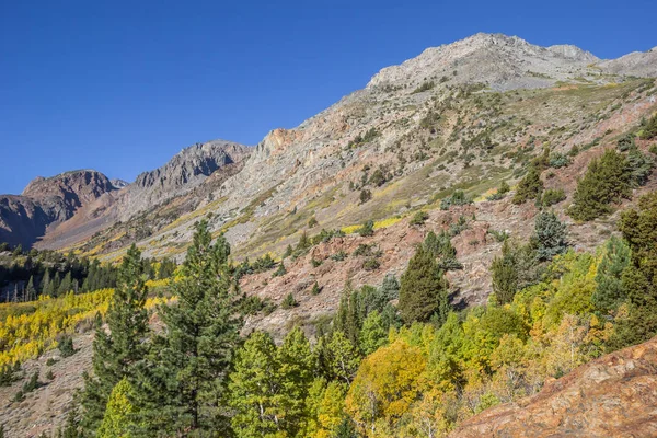 Herbstfarben Lundy Lake Kalifornien Vereinigte Staaten — Stockfoto