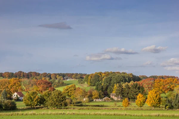 Colores Otoño Vibrantes Groesbeek Países Bajos —  Fotos de Stock