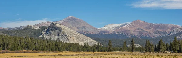 Tuolumne Çayırlar Yosemite Milli Parkı Amerika Panoraması - Stok İmaj