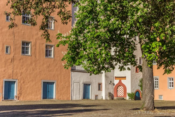 Baum Auf Dem Burgplatz Von Hann Munden Deutschland — Stockfoto