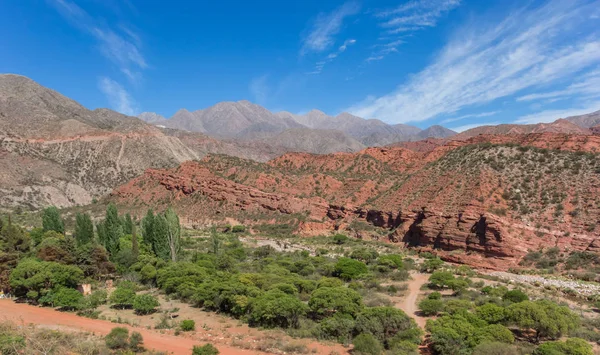 Landscape Mendoza Province Argentina — Stock Photo, Image