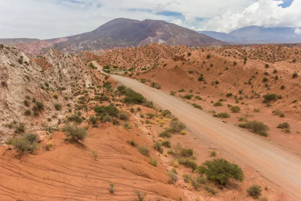 Onverharde Weg Nationaal Park Los Cardones Argentinië — Stockfoto