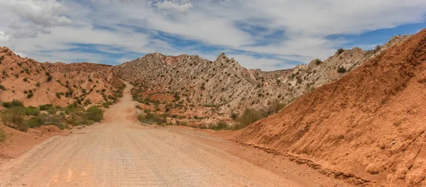 Panorama Van Een Onverharde Weg Nationaal Park Los Cardones Argentinië — Stockfoto