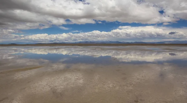 Laguna Llancanelo Het Andesgebergte Argentinië — Stockfoto