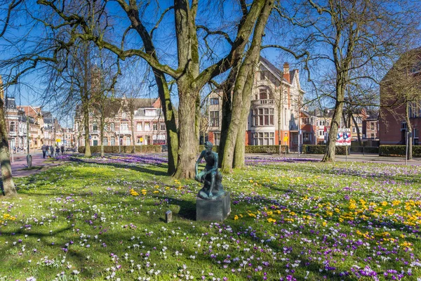 Statue dans un champ de crocus à Groningue — Photo