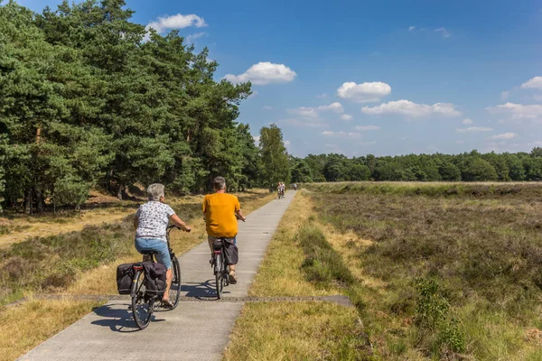 Dの国立公園で自転車に乗る人々 ロイヤリティフリーのストック写真