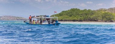 Tourists taking a boatride at Menjangan Island clipart