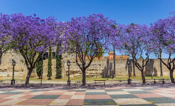 Fleurs violettes à l'Alcazar à Jerez de la Frontera — Photo