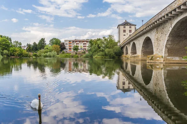 Cisne Nadando Río Lahn Limburgo Alemania — Foto de Stock