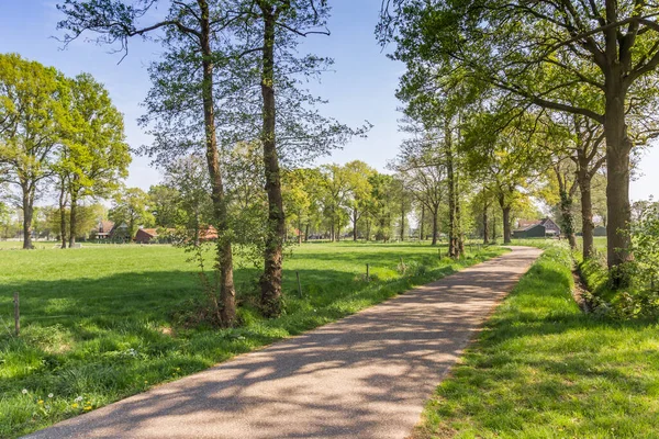 オランダのOverijsselの風景の中の田舎道 — ストック写真