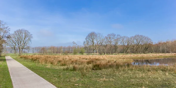 Fietspad Door Natuurgebied Wildemerk Nederland — Stockfoto